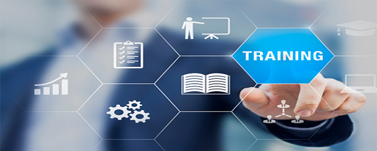 Training & Placement Committee